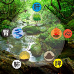 現代医学と東洋医学