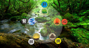 現代医学と東洋医学