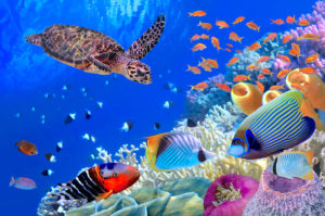 天海玉紀 鑑定@新宿 ご案内