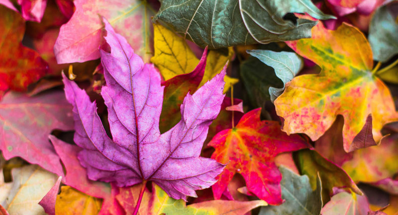 【Vol.4】ウラナイ8ができてから〜超豪華インタビュー集