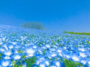 甘夏弦 9/14「インナーチャイルドカードでみる年末までの過ごし方」