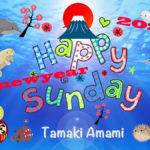 1/5 日曜日のデイリーメッセージ《不思議の海へ 22》