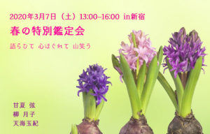 3/7 春の特別鑑定会（甘夏弦・柳月子・天海玉紀）