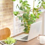 夏瀬杏子  3/15陽占の読み方講座（ZOOM講座）