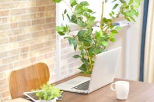 夏瀬杏子  3/15陽占の読み方講座（ZOOM講座）