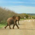 デイリーメッセージはどうやって作るの？（木曜/まるの場合）