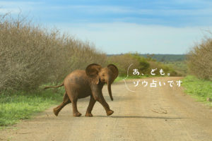 デイリーメッセージはどうやって作るの？（木曜/まるの場合）