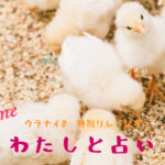 正面から真っ直ぐ最短 プロになるまでの道-2『わたしと占い』