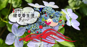 6/10 金曜日のデイリーメッセージ《健幸養生便》