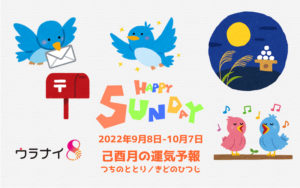 9/11 日曜日のデイリーメッセージ《9月己酉月の運気予報》