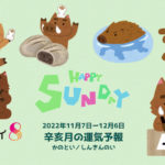 11/6 日曜日のデイリーメッセージ《11月辛亥月の運気予報》