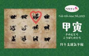 2/5 日曜日のデイリーメッセージ《2月甲寅月の運気予報》