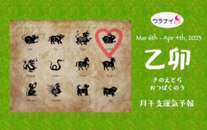 3/5 日曜日のデイリーメッセージ《3月乙卯月の運気予報》