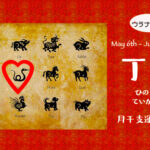 5/7 日曜日のデイリーメッセージ《5月丁巳月の運気予報》