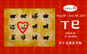 5/7 日曜日のデイリーメッセージ《5月丁巳月の運気予報》