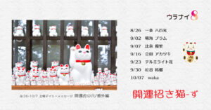 9/2 土曜日のデイリーメッセージ《わたしの吉方位旅行〜能登半島・輪島をめぐる》