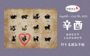 9/10 日曜日のデイリーメッセージ《9月辛酉月の運気予報》