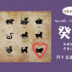 11/5 日曜日のデイリーメッセージ《11月癸亥月の運気予報》