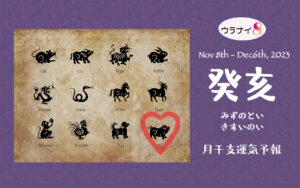 11/5 日曜日のデイリーメッセージ《11月癸亥月の運気予報》