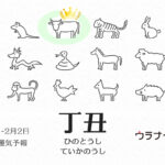 1/5 日曜日のデイリーメッセージ《1月丁丑月の運気予報》