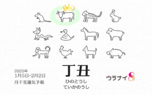 1/5 日曜日のデイリーメッセージ《1月丁丑月の運気予報》